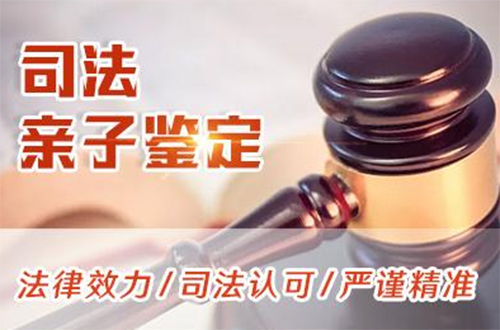 宁波司法亲子鉴定怎么做,宁波司法亲子鉴定预约电话