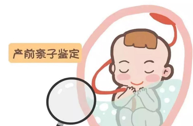 [宁波]怀孕期间如何判断宝宝是谁的,宁波无创怀孕亲子鉴定怎么收费